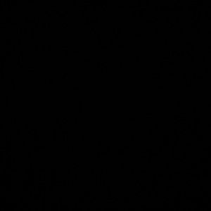 Meet your Posher, Oscar